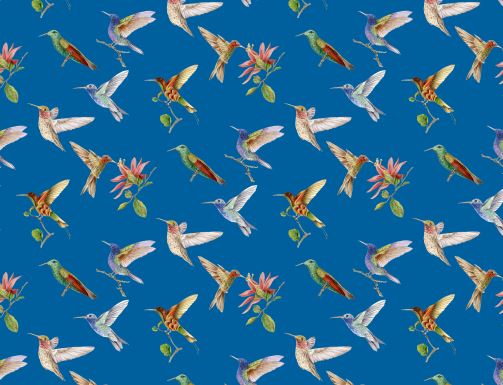 Kissen Kolibri blau 40×60 | 100% Baumwolle |